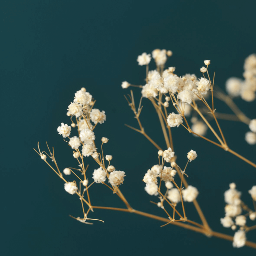 CatiaPereiraDesign-Logo-Inspiraçao04